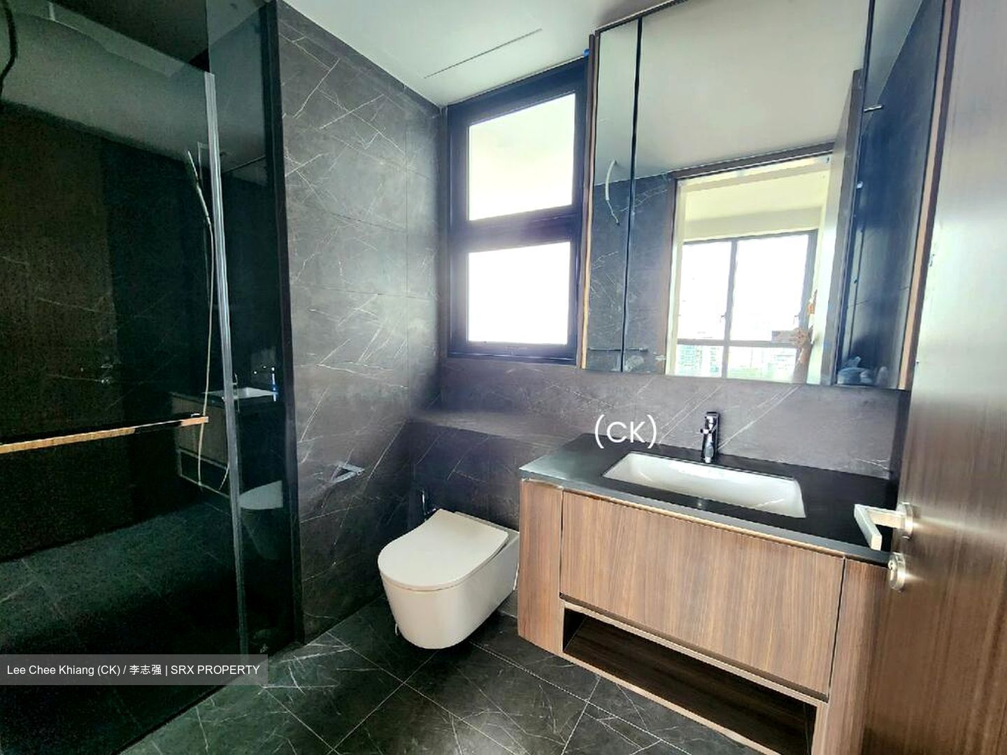 Kopar At Newton (D9), Apartment #628427571